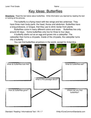 RI.1.7 Common Core Worksheet