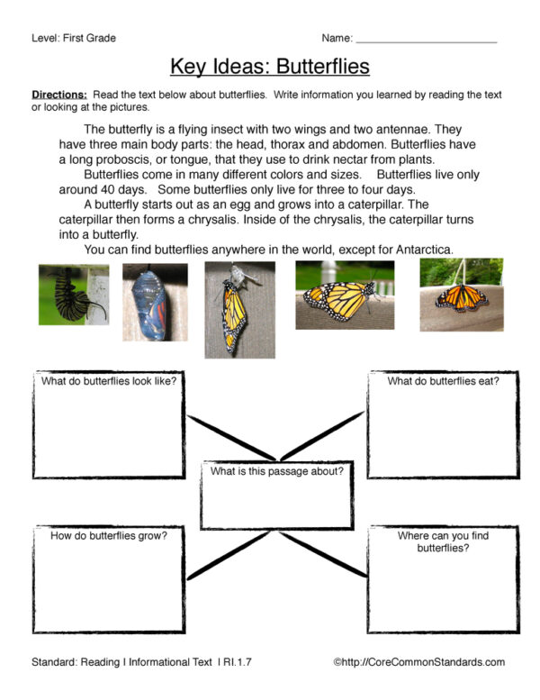RI.1.7 Common Core Worksheet - Have Fun Teaching