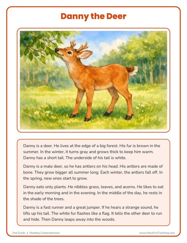 Danny the Deer - Reading Comprehension Worksheet