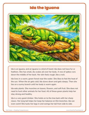 2nd grade Ida the Iguana reading comprehension worksheet with a text about an iguana