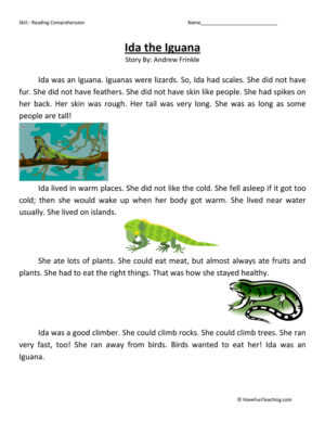 Ida the Iguana Reading Comprehension Worksheet