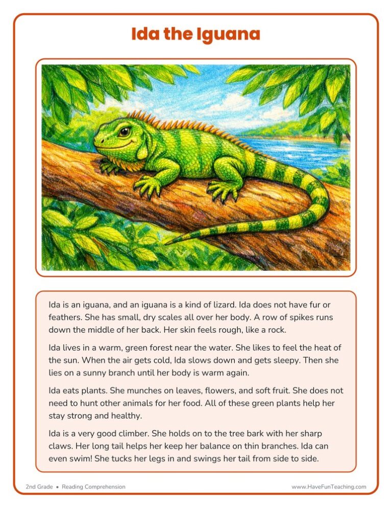 Ida the Iguana Reading Comprehension Worksheet