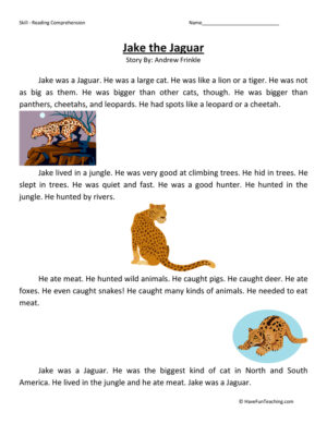 Jake the Jaguar Reading Comprehension Worksheet