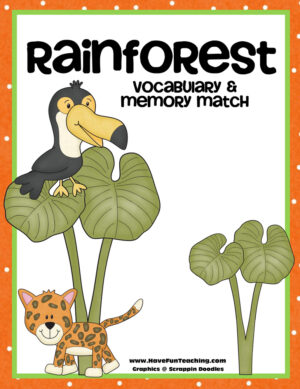 Rainforest Vocabulary Matching Activity