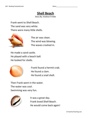 Shell Beach Reading Comprehension Worksheet