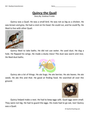 Quincy the Quail Reading Comprehension Worksheet