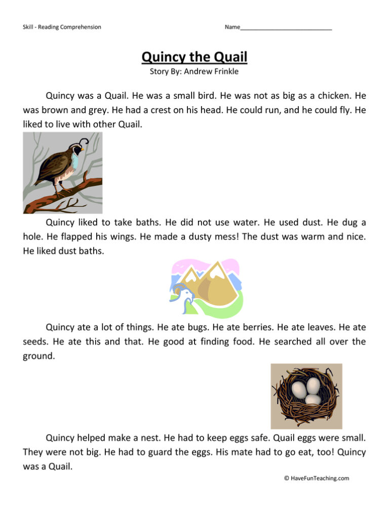 Quincy the Quail Reading Comprehension Worksheet