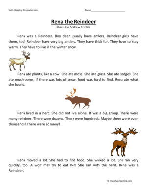 Rena the Reindeer Reading Comprehension Worksheet