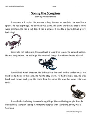 Sonny the Scorpion Reading Comprehension Worksheet