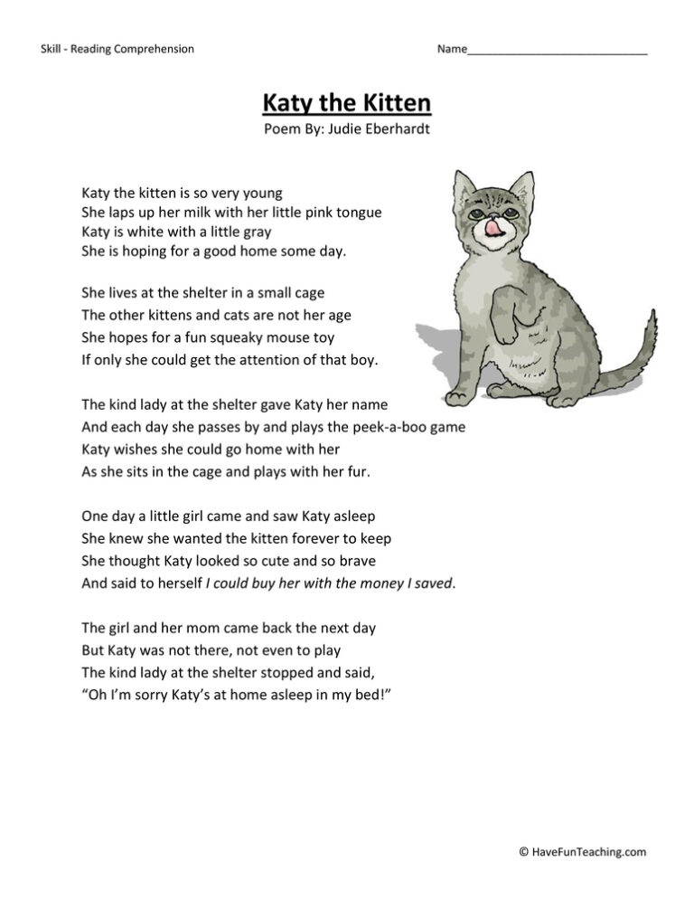 Katy the Kitten Reading Comprehension Worksheet