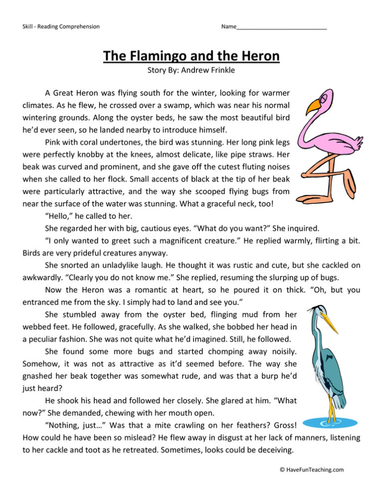 The Heron and the Flamingo Reading Comprehension Worksheet