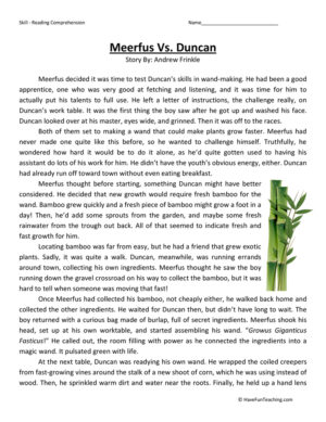 Meerfus vs Duncan Reading Comprehension Worksheet