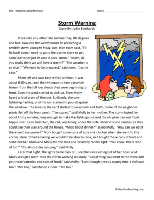 Storm Warning Reading Comprehension Worksheet