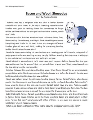 Bacon and Wool: Sheepdog - Reading Comprehension Worksheet