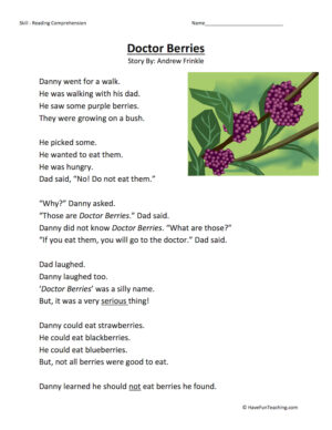 Doctor Berries - Reading Comprehension Worksheet