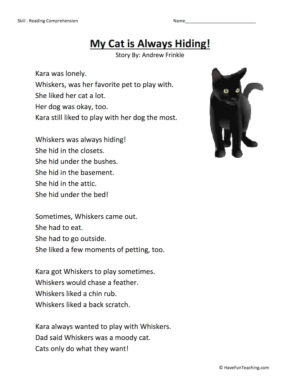 My Cat Is Always Hiding Reading Comprehension Worksheet