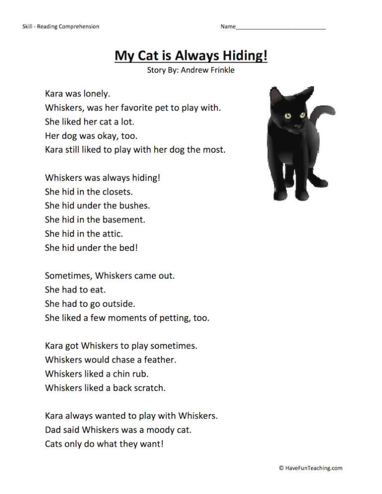 My Cat Is Always Hiding Reading Comprehension Worksheet