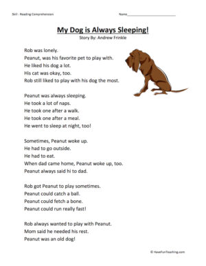 My Dog Is Always Sleeping Reading Comprehension Worksheet