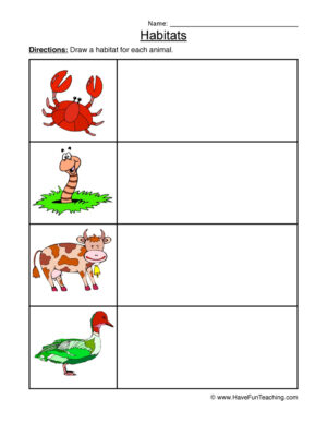 Crab