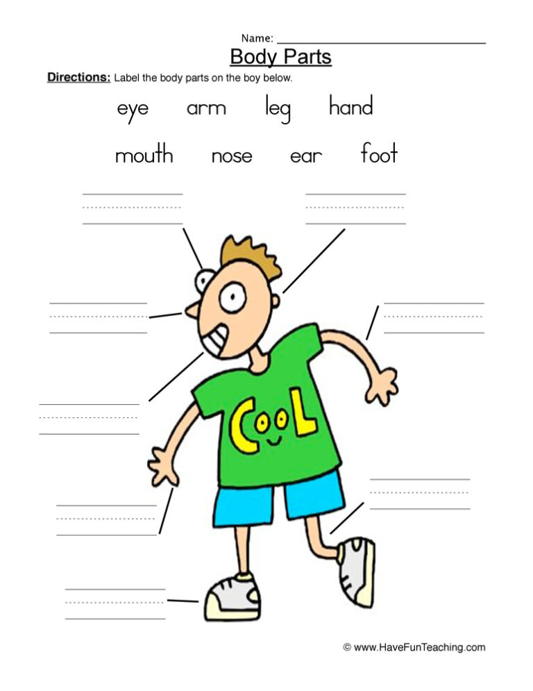 Boy Body Parts Worksheet