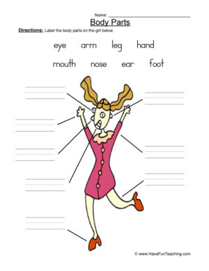 Girl Body Parts Worksheet