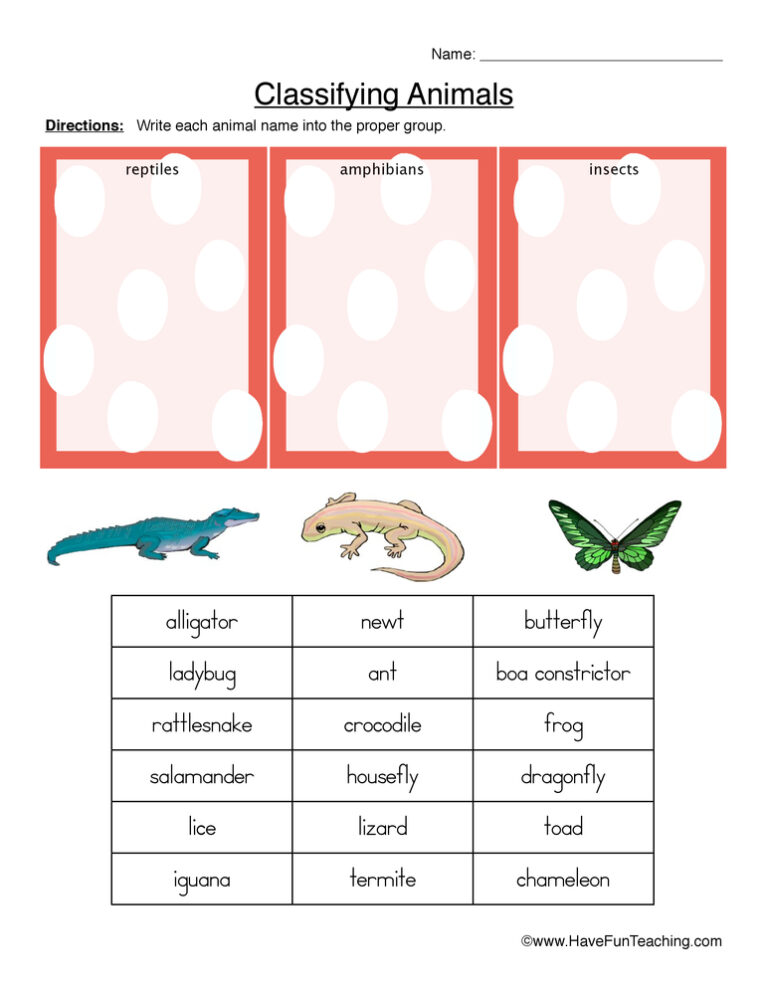Classifying Reptiles, Amphibians, or Insects Worksheet