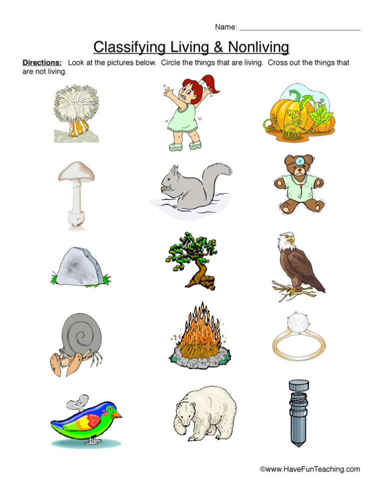 Classifying Living and Nonliving Things Primary Version Worksheet