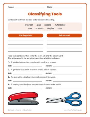 3rd grade classifying tools worksheet