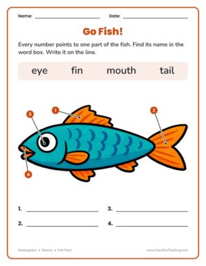 Kindergarten fish parts labeling worksheet