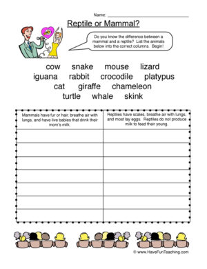 Mammal VS Reptile Worksheet