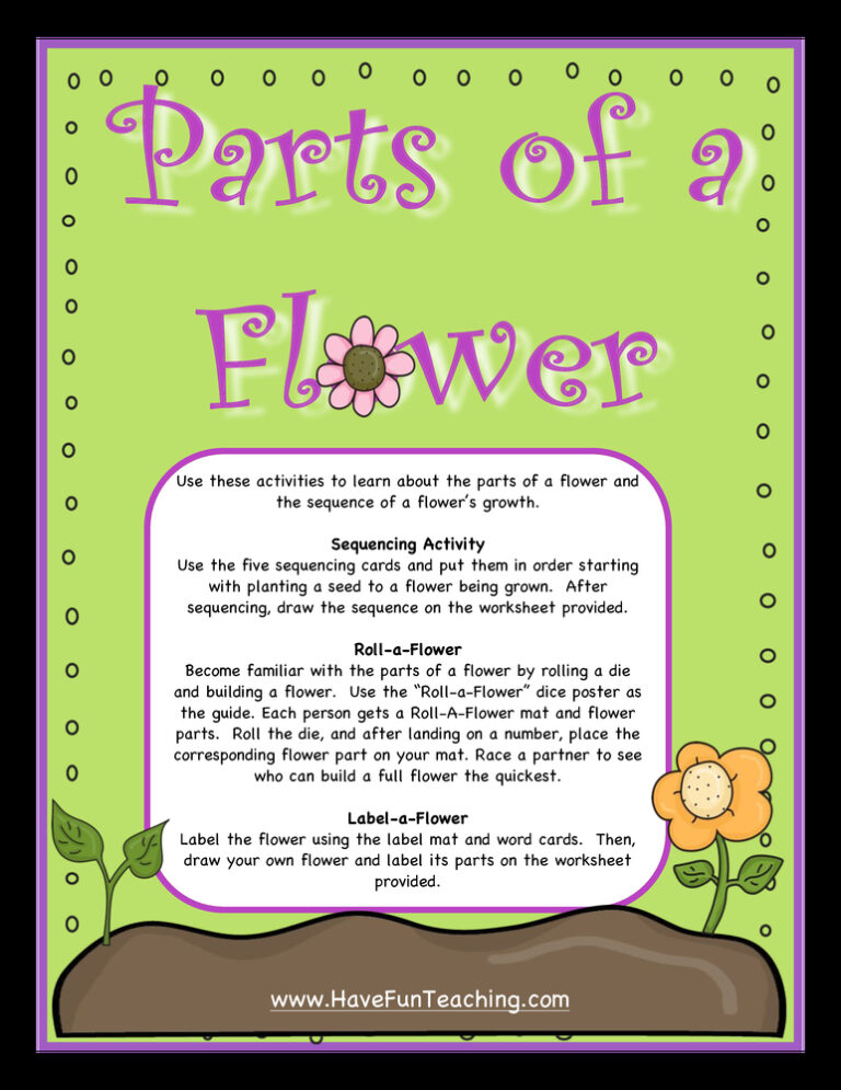 Parts of a Flower Activity