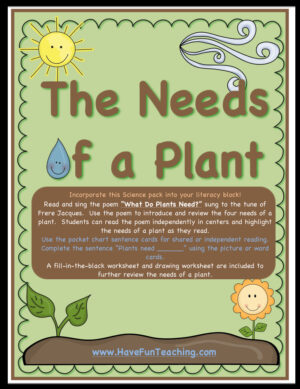 What Does a Plant Need Activity