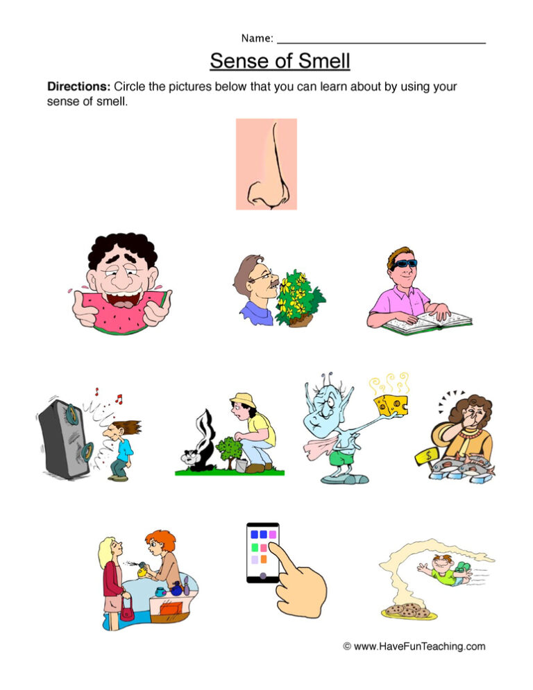 Senses Smell Worksheet
