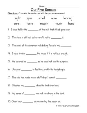 Senses Fill in the Blanks Worksheet