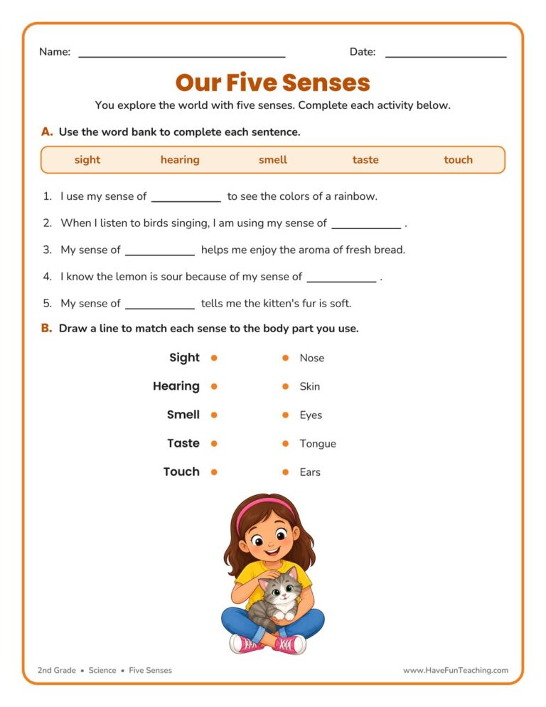 Senses Fill in the Blanks Worksheet