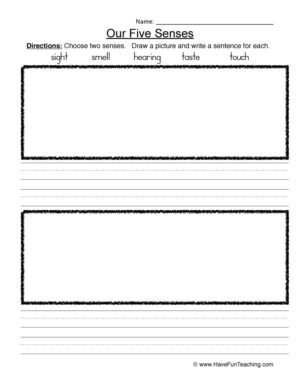 Senses Draw and Write Worksheet