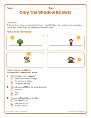 Shadows Worksheet for 2nd grade: draw the shadow the sun casts for a tree, child, dog, and house, then answer cause and effect questions about light.