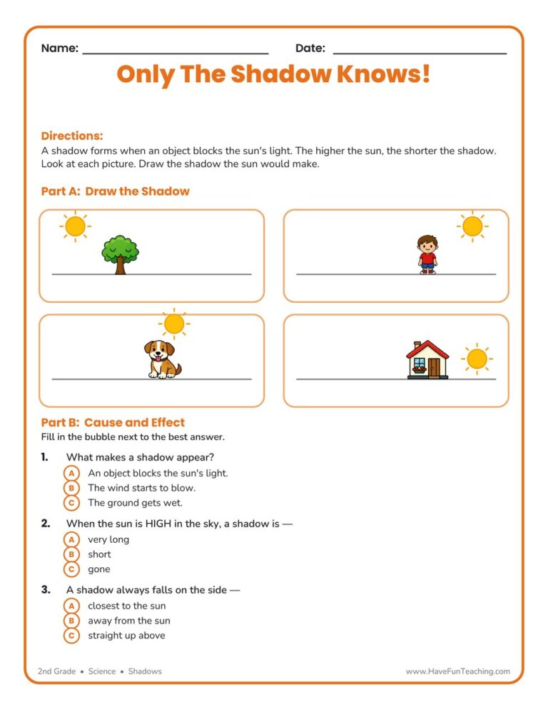 Shadows Worksheet