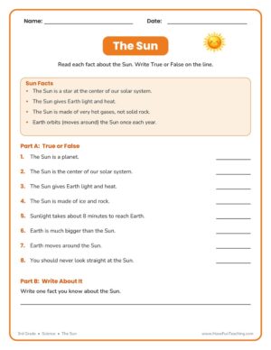 The Sun worksheet — 3rd grade science true or false sun facts activity