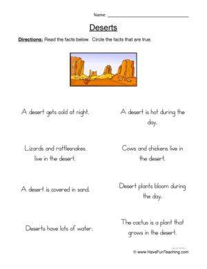 Desert True or False Worksheet