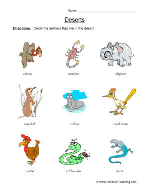 Desert Animals Habitat Worksheet