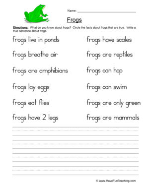 Frogs True or False Worksheet