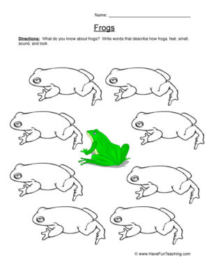 Describing Frogs Worksheet