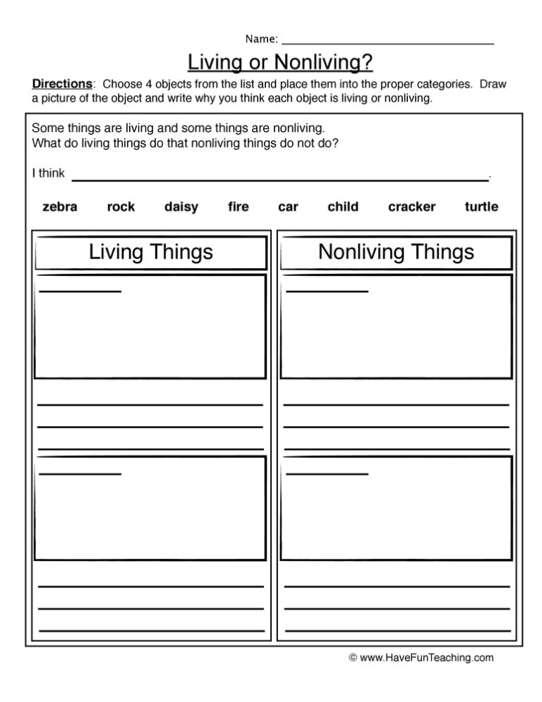 Drawing Living Nonliving Worksheet