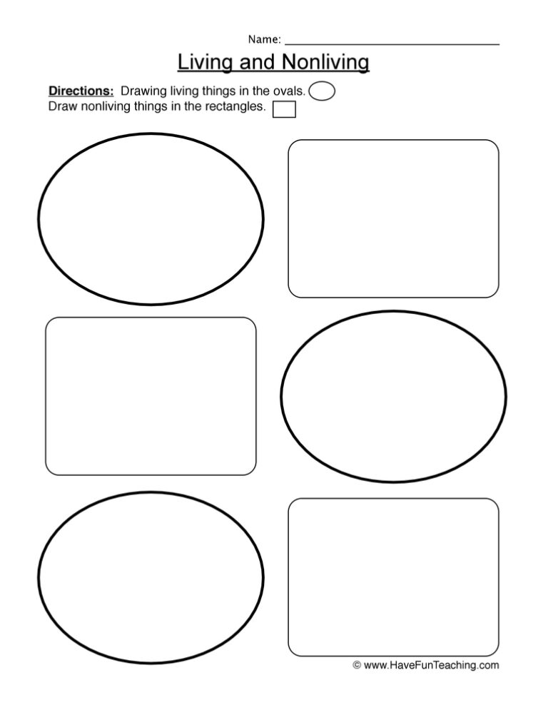 Drawing Living Things Worksheet