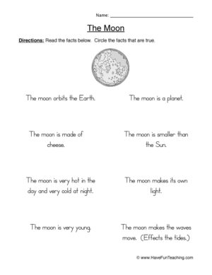 Moon True or False Worksheet