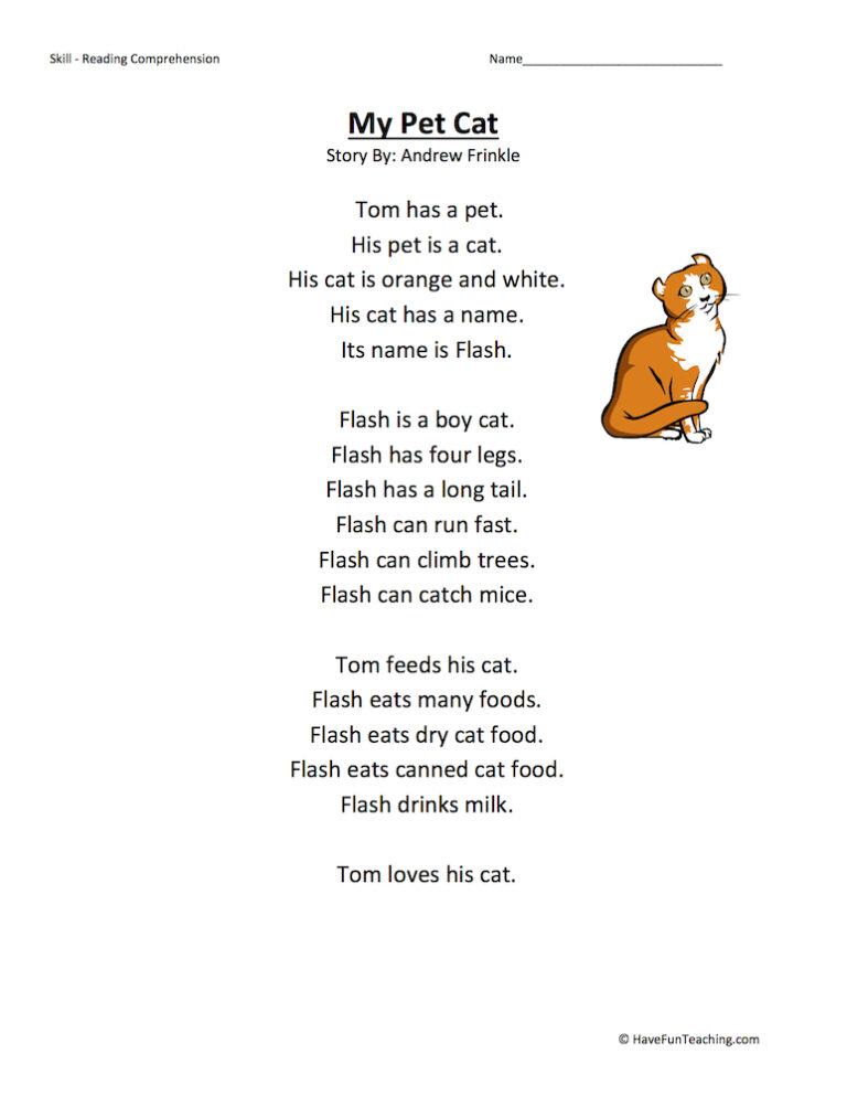 My Pet Cat Reading Comprehension Worksheet