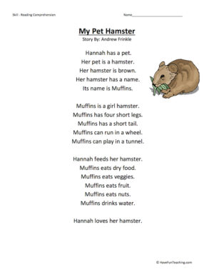 My Pet Hamster Reading Comprehension Worksheet