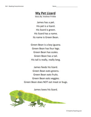 My Pet Lizard Reading Comprehension Worksheet