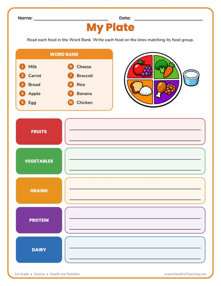 My Plate Sorting Worksheet